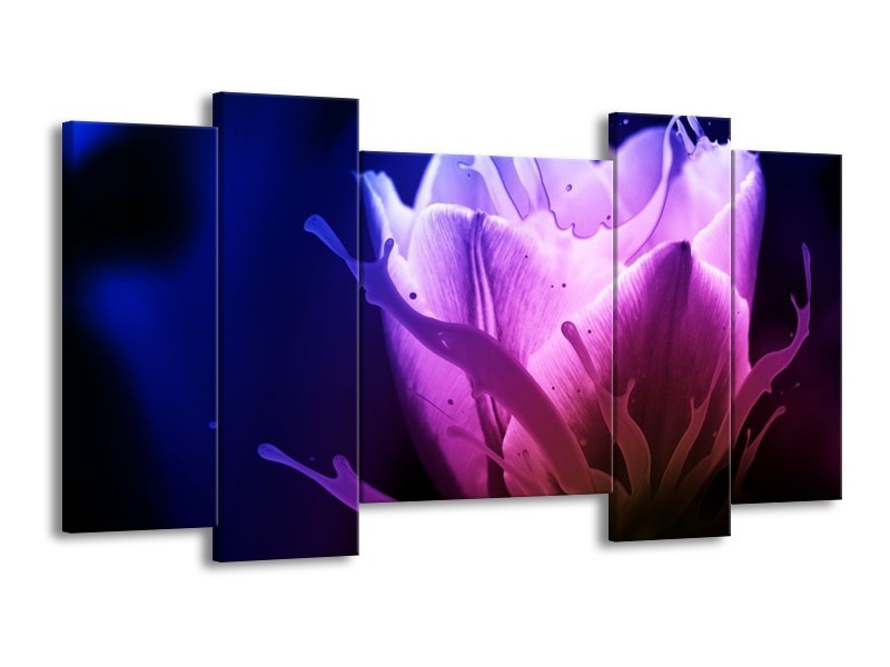 Canvas schilderij Tulp | Blauw, Paars, Roze | 120x65 5Luik