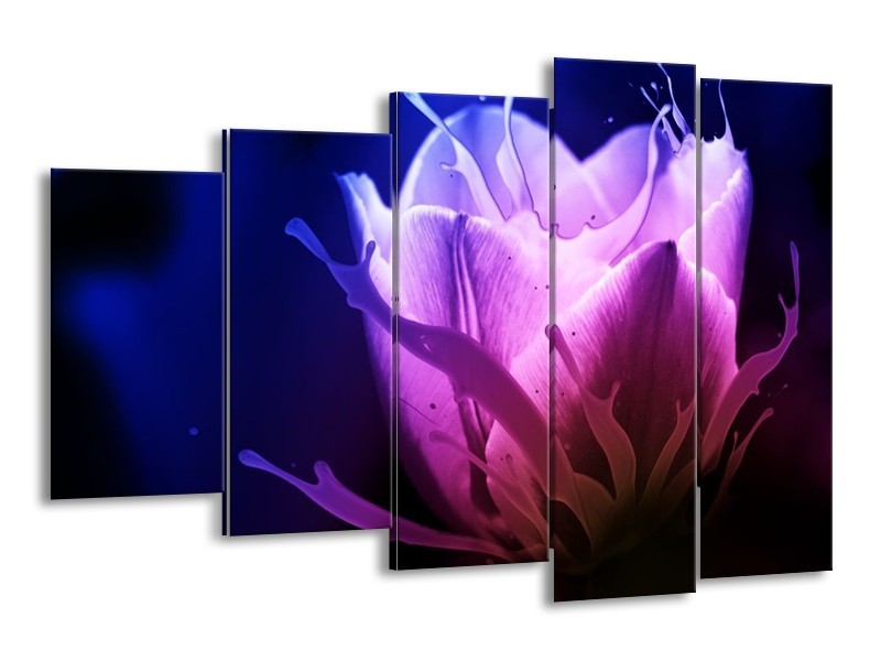 Canvas schilderij Tulp | Blauw, Paars, Roze | 150x100cm 5Luik