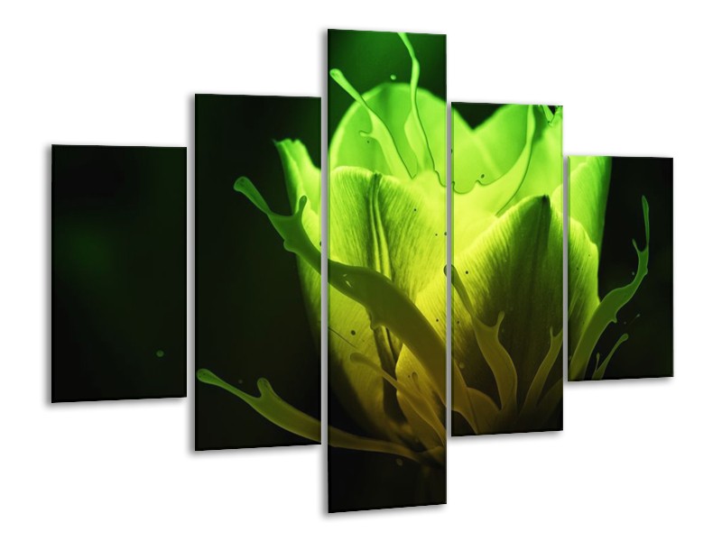Canvas schilderij Tulp | Groen, Zwart | 100x70cm 5Luik