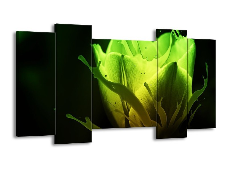 Canvas schilderij Tulp | Groen, Zwart | 120x65 5Luik