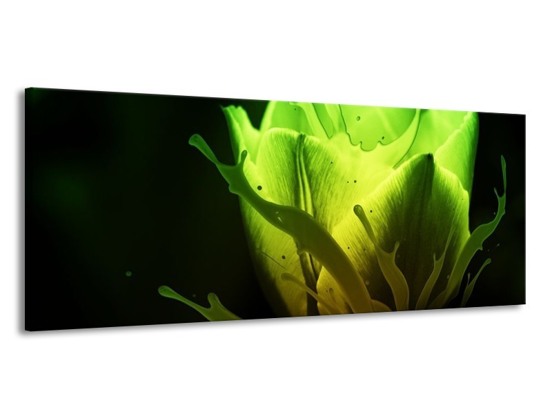 Canvas schilderij Tulp | Groen, Zwart | 145x58cm 1Luik