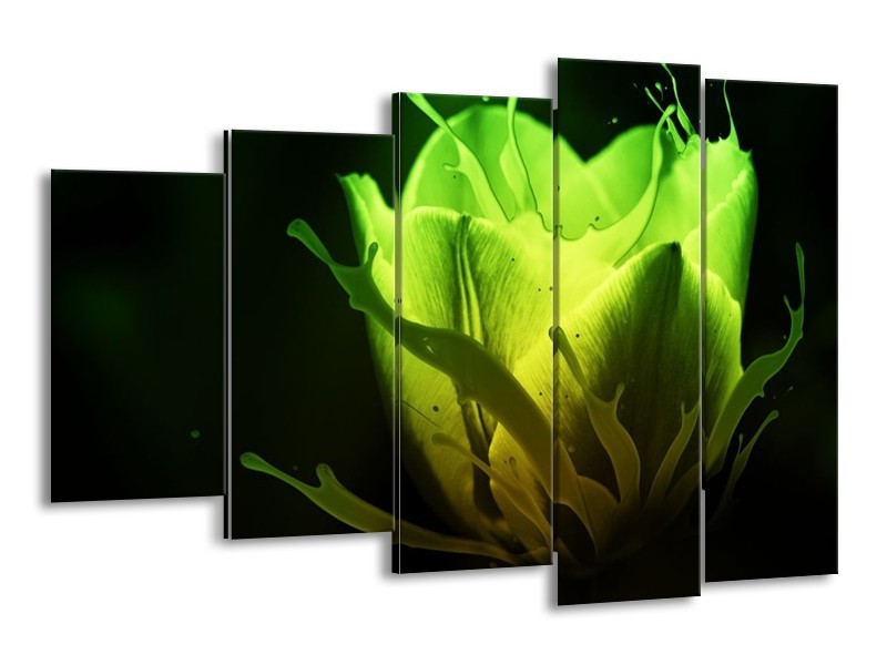 Canvas schilderij Tulp | Groen, Zwart | 150x100cm 5Luik
