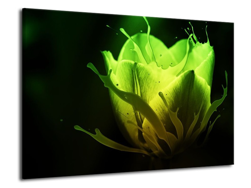 Canvas schilderij Tulp | Groen, Zwart | 70x50cm 1Luik