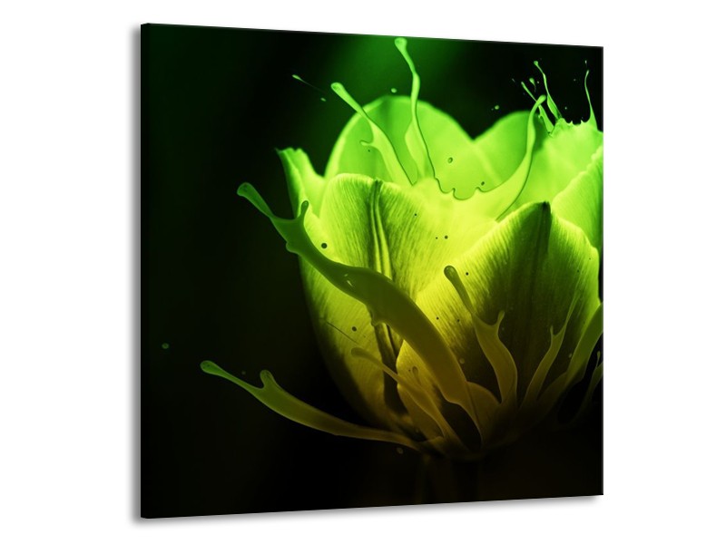 Canvas schilderij Tulp | Groen, Zwart | 70x70cm 1Luik