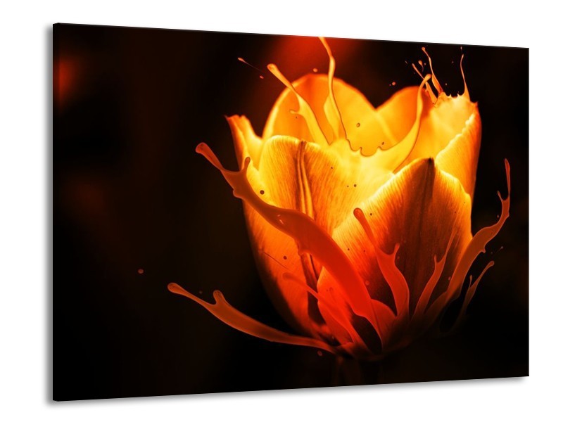 Glas schilderij Tulp | Oranje, Zwart, Geel | 100x70cm 1Luik