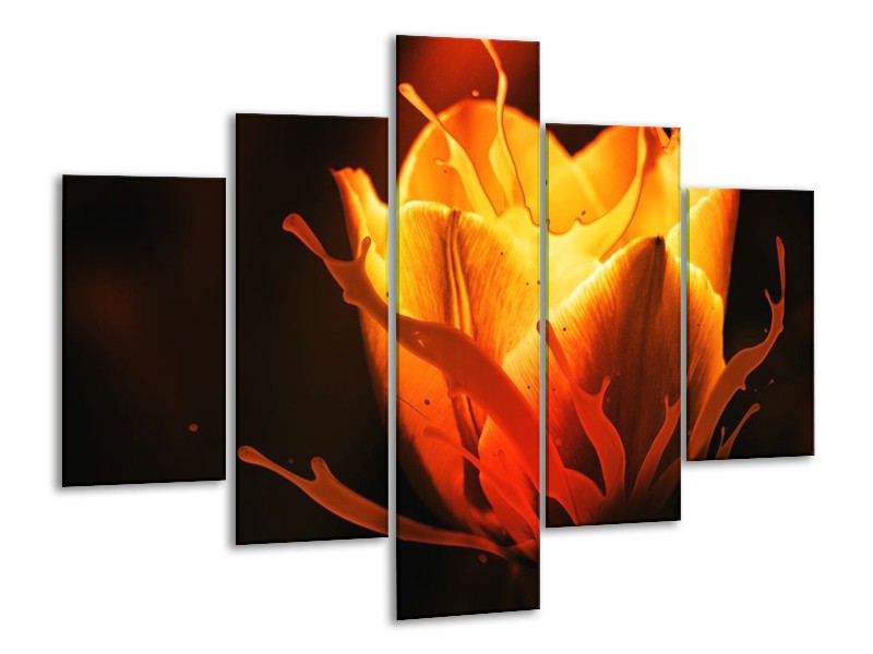 Canvas schilderij Tulp | Oranje, Zwart, Geel | 100x70cm 5Luik