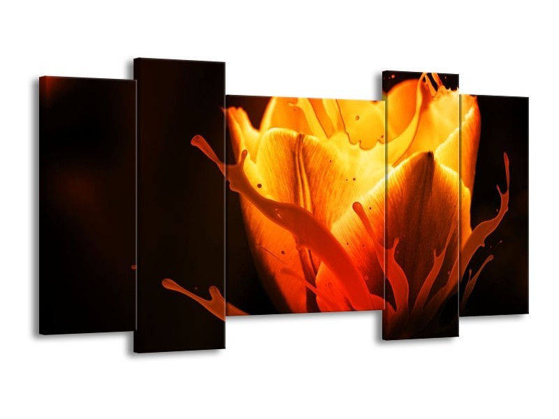 Canvas schilderij Tulp | Oranje, Zwart, Geel | 120x65 5Luik