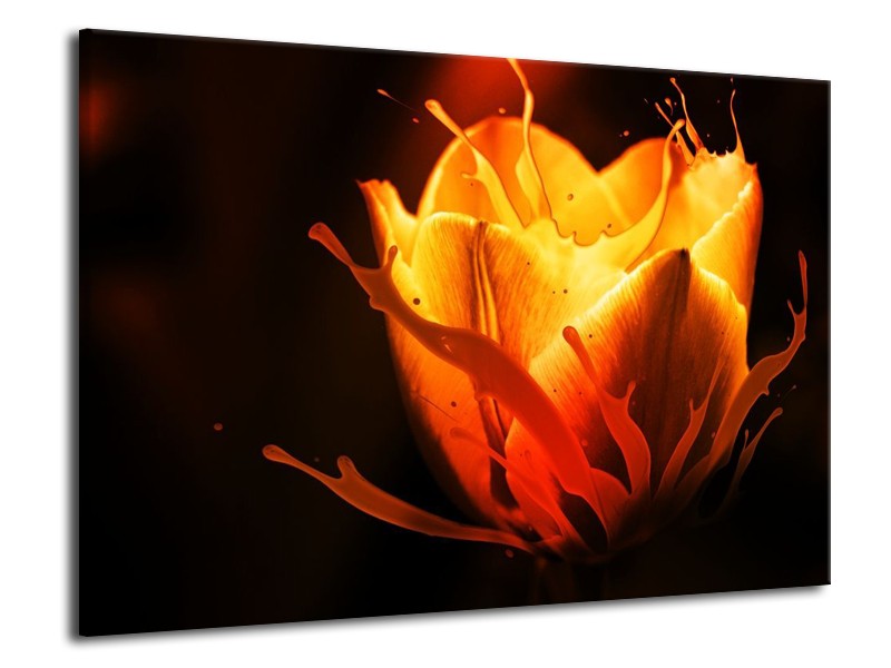 Canvas schilderij Tulp | Oranje, Zwart, Geel | 70x50cm 1Luik