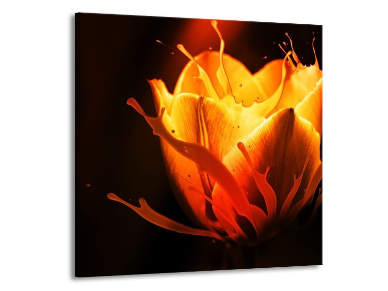 Canvas schilderij Tulp | Oranje, Zwart, Geel | 70x70cm 1Luik