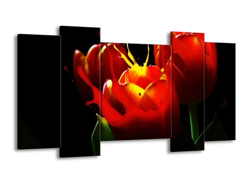 Canvas schilderij Tulp | Rood, Zwart, Groen | 120x65 5Luik
