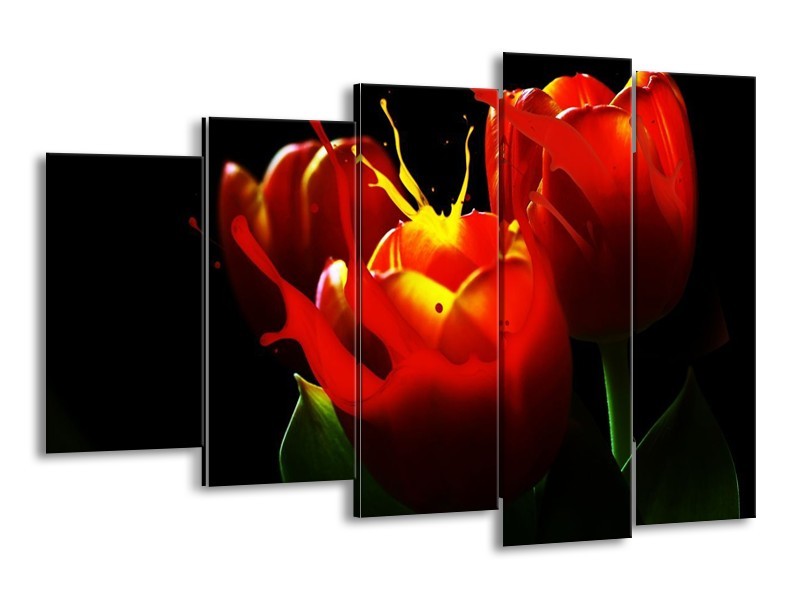 Canvas schilderij Tulp | Rood, Zwart, Groen | 150x100cm 5Luik