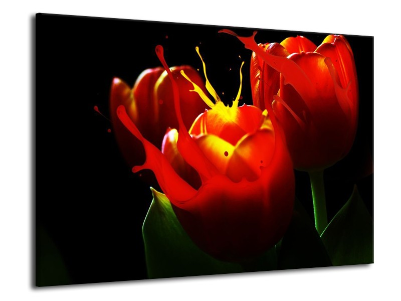 Canvas schilderij Tulp | Rood, Zwart, Groen | 70x50cm 1Luik
