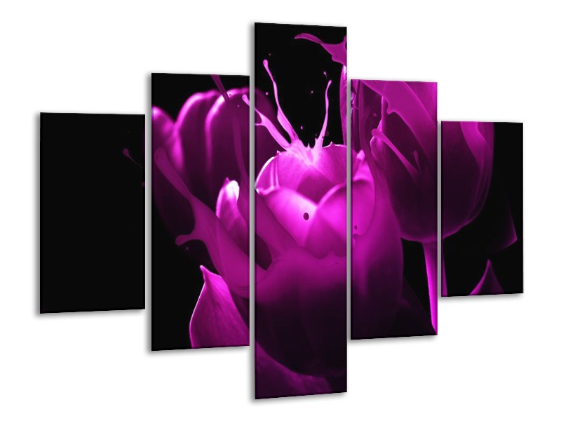 Canvas schilderij Tulp | Paars, Zwart, Wit | 100x70cm 5Luik