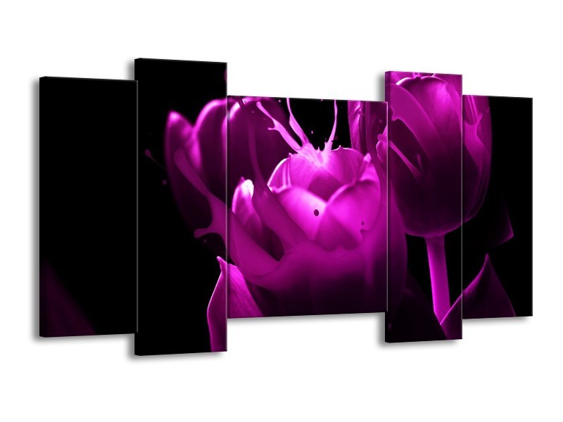 Canvas schilderij Tulp | Paars, Zwart, Wit | 120x65 5Luik