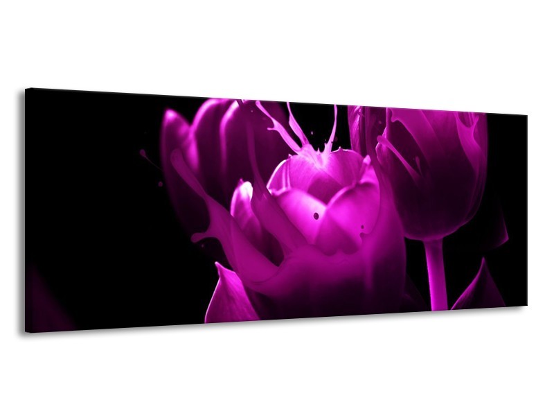 Canvas schilderij Tulp | Paars, Zwart, Wit | 145x58cm 1Luik