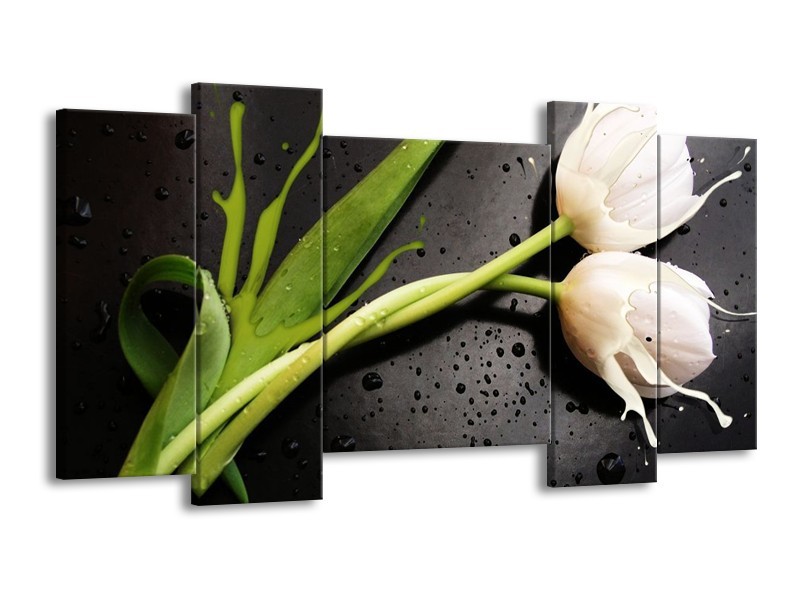 Canvas schilderij Tulp | Grijs, Groen, Wit | 120x65 5Luik