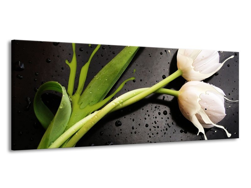 Canvas schilderij Tulp | Grijs, Groen, Wit | 145x58cm 1Luik