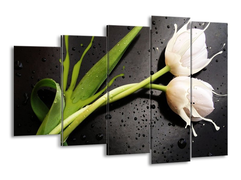 Canvas schilderij Tulp | Grijs, Groen, Wit | 150x100cm 5Luik