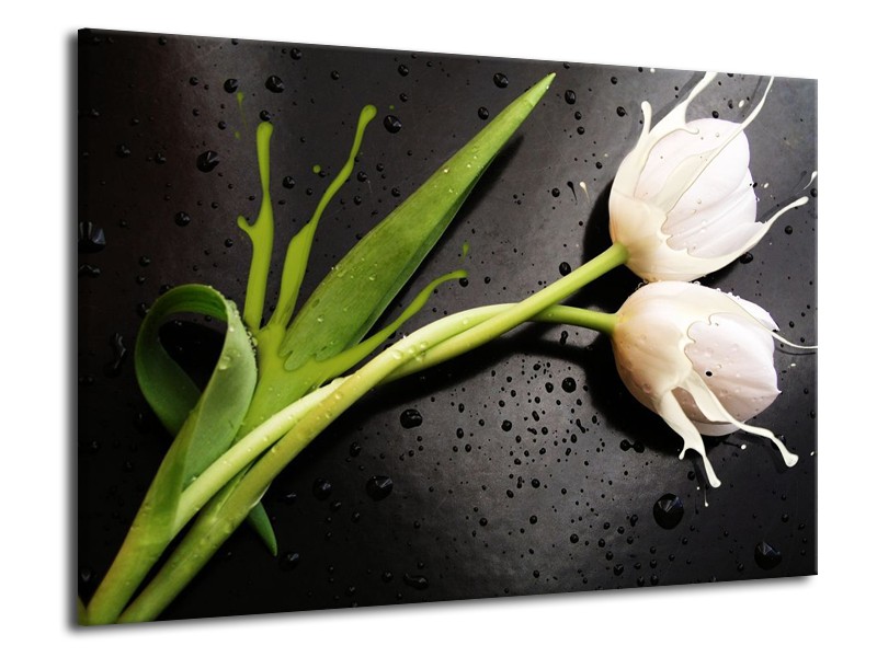Canvas schilderij Tulp | Grijs, Groen, Wit | 70x50cm 1Luik
