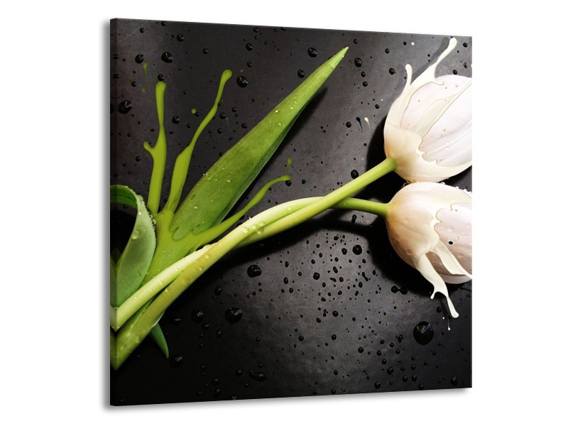 Canvas schilderij Tulp | Grijs, Groen, Wit | 70x70cm 1Luik