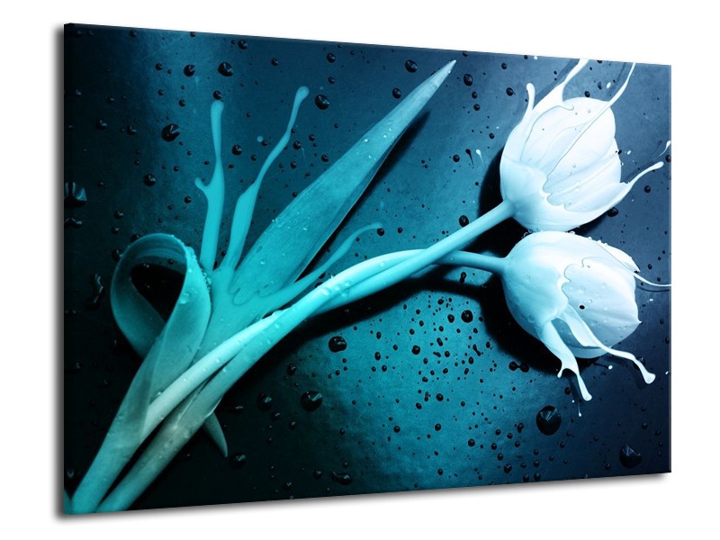 Canvas schilderij Tulp | Blauw, Wit | 70x50cm 1Luik