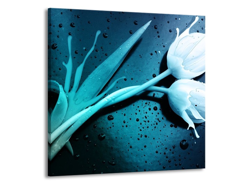 Canvas schilderij Tulp | Blauw, Wit | 70x70cm 1Luik