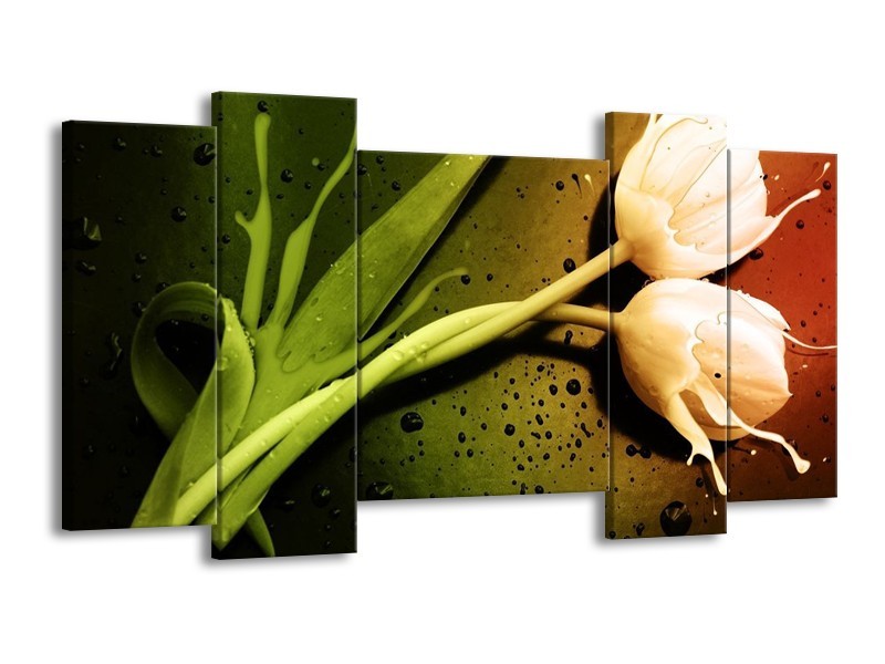 Canvas schilderij Tulp | Groen, Wit, Bruin | 120x65 5Luik
