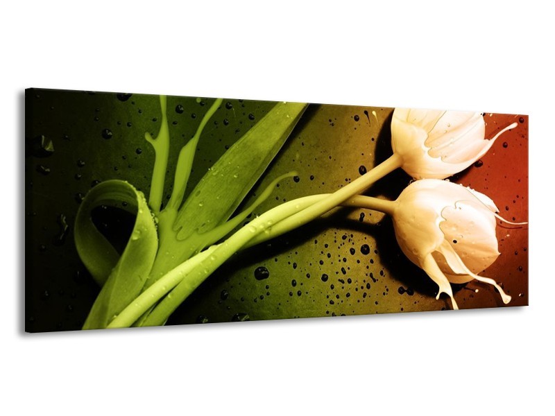 Canvas schilderij Tulp | Groen, Wit, Bruin | 145x58cm 1Luik