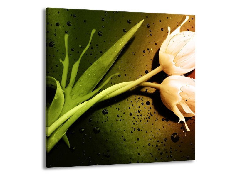 Canvas schilderij Tulp | Groen, Wit, Bruin | 70x70cm 1Luik