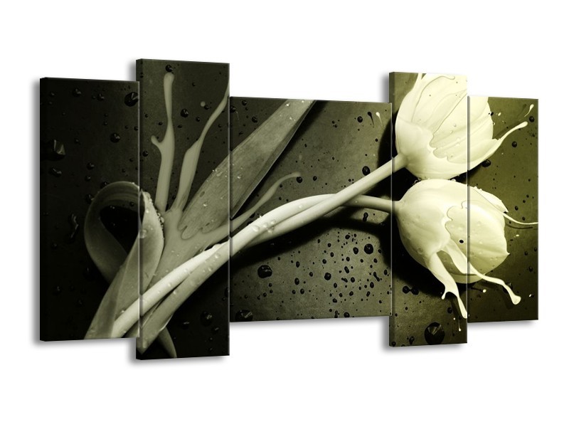 Canvas schilderij Tulp | Grijs, Zwart, Wit | 120x65 5Luik