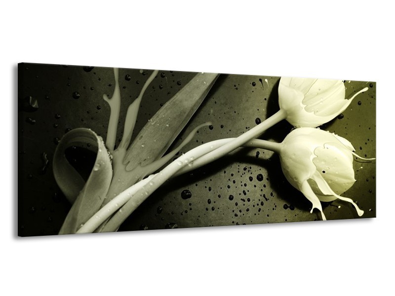 Canvas schilderij Tulp | Grijs, Zwart, Wit | 145x58cm 1Luik
