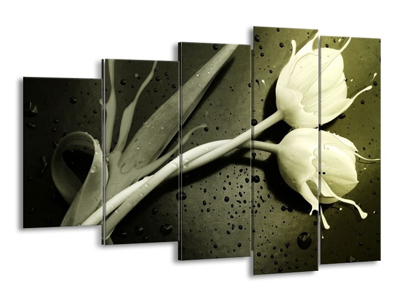 Canvas schilderij Tulp | Grijs, Zwart, Wit | 150x100cm 5Luik