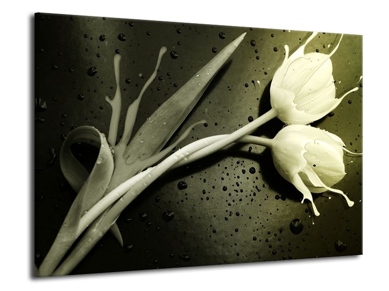 Canvas schilderij Tulp | Grijs, Zwart, Wit | 70x50cm 1Luik