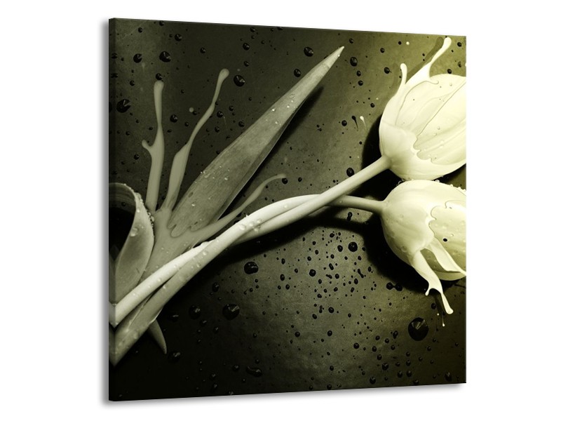Canvas schilderij Tulp | Grijs, Zwart, Wit | 70x70cm 1Luik