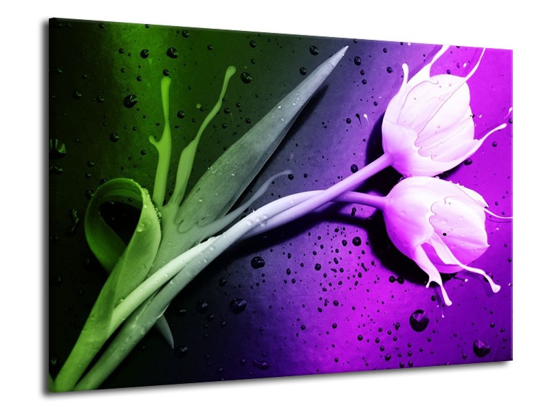 Canvas schilderij Tulp | Paars, Groen | 70x50cm 1Luik