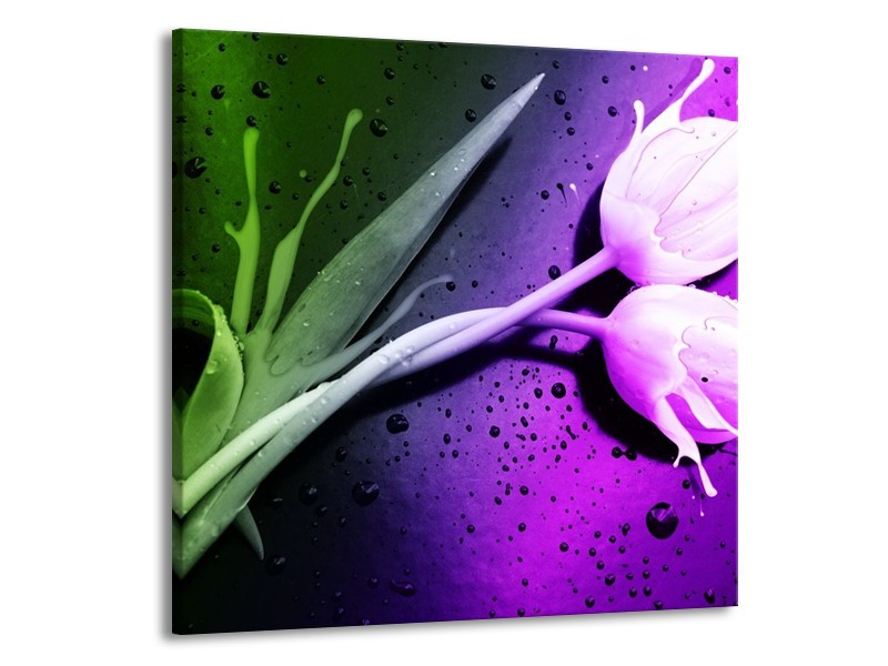 Canvas schilderij Tulp | Paars, Groen | 70x70cm 1Luik
