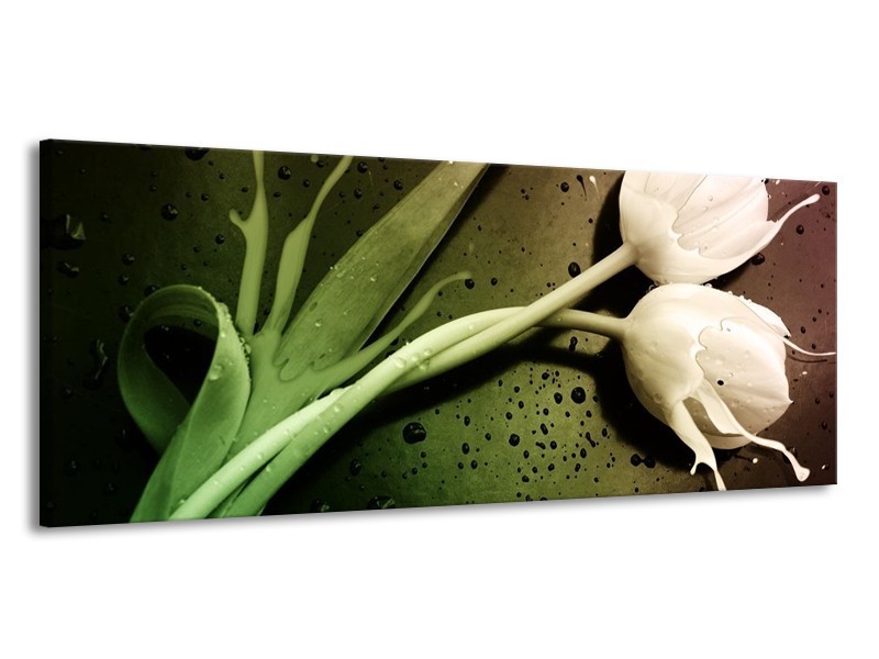 Canvas schilderij Tulp | Groen, Wit | 145x58cm 1Luik