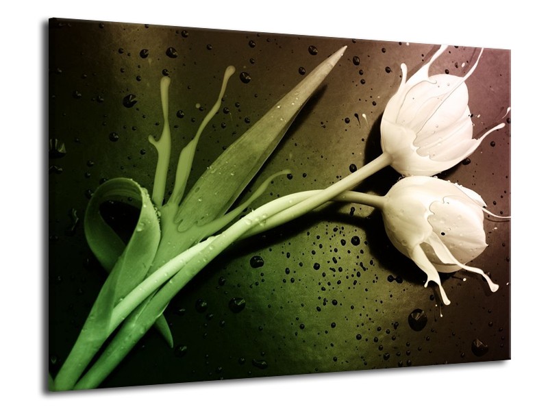 Canvas schilderij Tulp | Groen, Wit | 70x50cm 1Luik