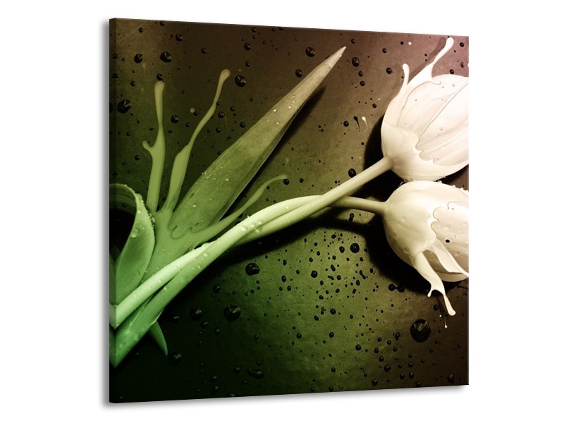 Canvas schilderij Tulp | Groen, Wit | 70x70cm 1Luik
