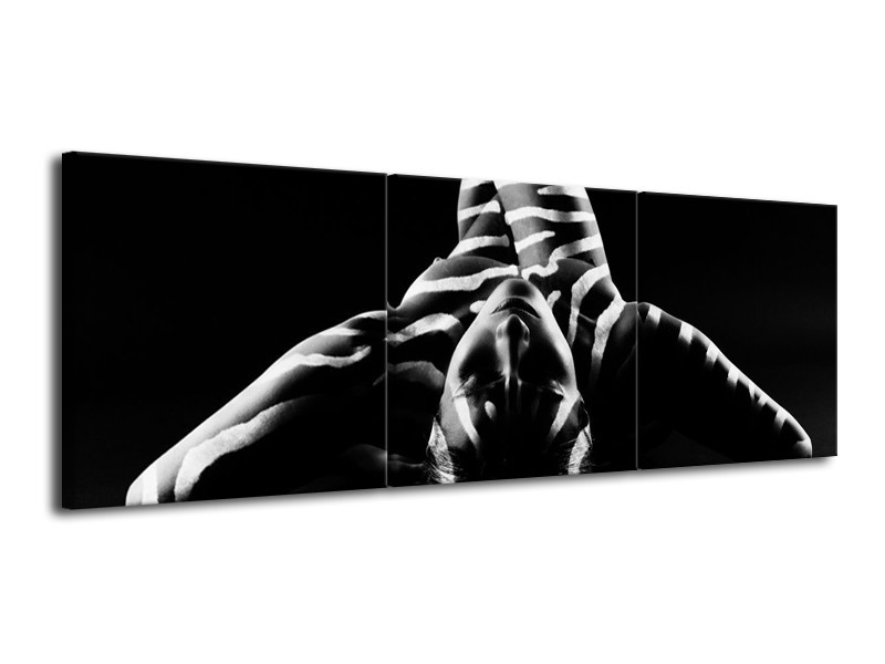 Glas schilderij Abstract | Zwart, Wit, Grijs | 120x40cm 3Luik