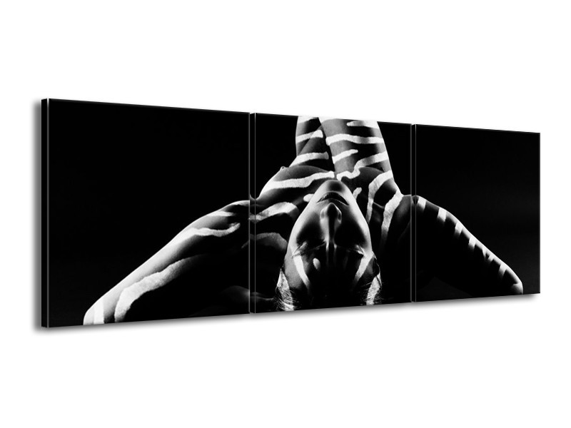 Glas schilderij Abstract | Zwart, Wit, Grijs | 150x50cm 3Luik