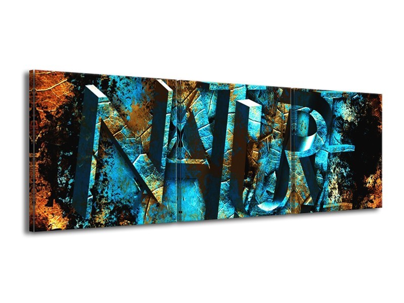 Canvas schilderij Natuur | Blauw, Bruin, Geel | 150x50cm 3Luik