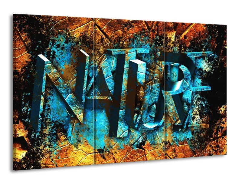 Canvas schilderij Natuur | Blauw, Bruin, Geel | 165x100cm 3Luik