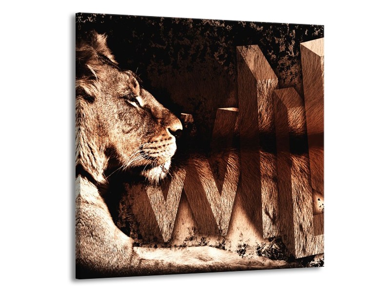 Canvas schilderij Leeuw | Bruin, Zwart | 70x70cm 1Luik