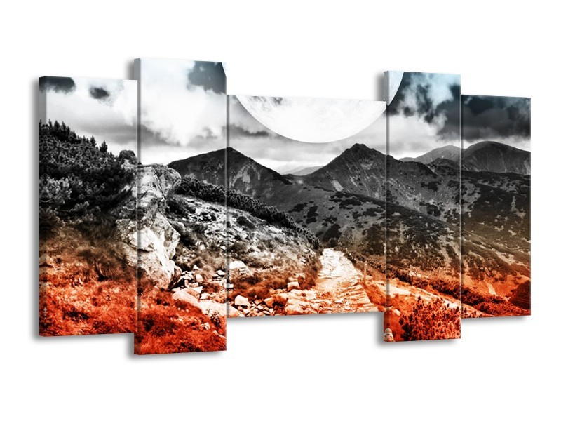 Canvas schilderij Modern | Rood, Grijs, Zwart | 120x65 5Luik