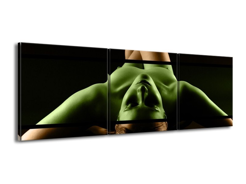 Canvas schilderij Lichaam | Groen, Bruin, Zwart | 150x50cm 3Luik
