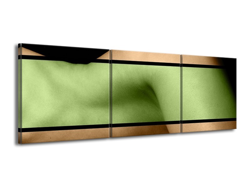 Canvas schilderij Lichaam | Groen, Bruin, Zwart | 150x50cm 3Luik