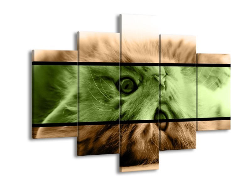 Glas schilderij Kat | Groen, Bruin | 150x105cm 5Luik