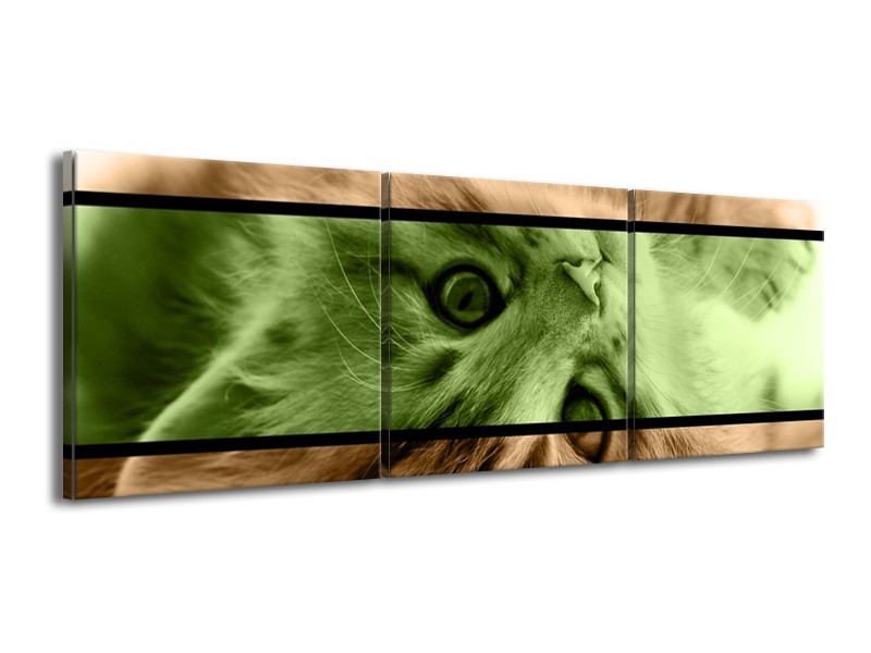 Canvas schilderij Kat | Groen, Bruin | 150x50cm 3Luik