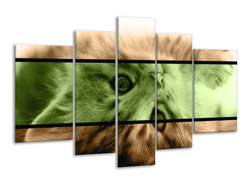 Canvas schilderij Kat | Groen, Bruin | 170x100cm 5Luik